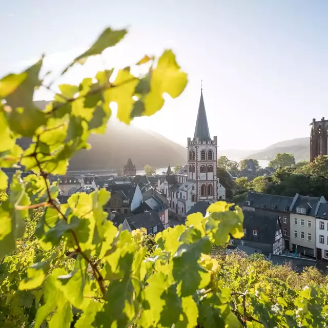 Blick auf Bacharach, Mittelrhein